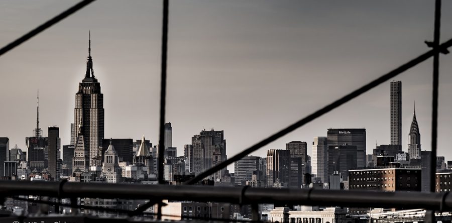 From Blue to Brooklyn and Back Again