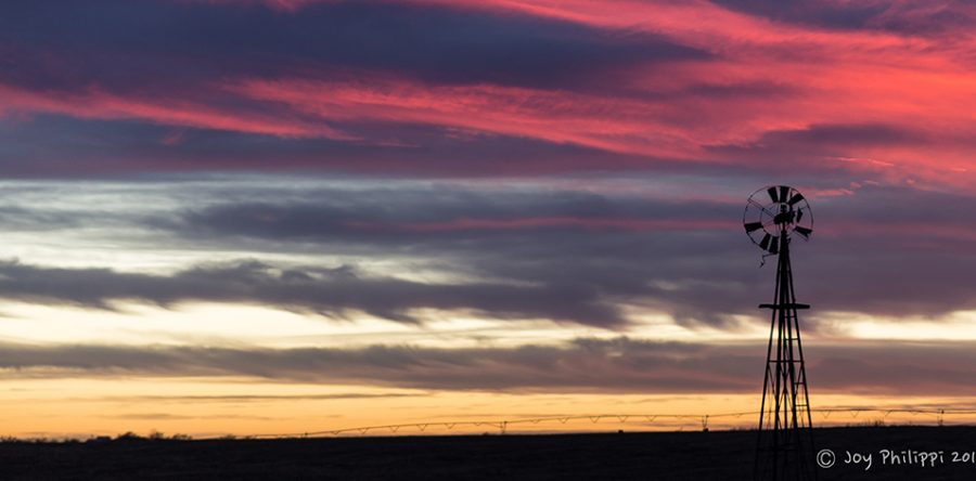 Windmill at Day’s End