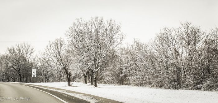 Roadside Frost